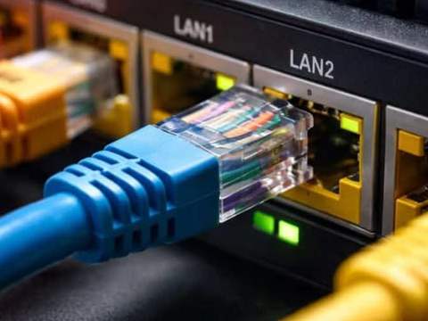Ethernet cables plugged into the LAN ports of a network switch